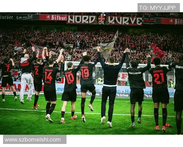 斯图加特新援抢眼德甲受益