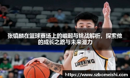 PP电子手机网页版登录