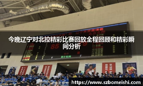 PP电子手机网页版登录