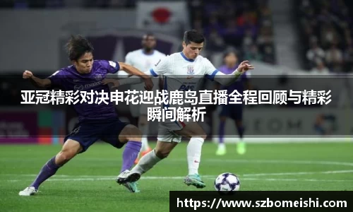 PP电子手机网页版登录